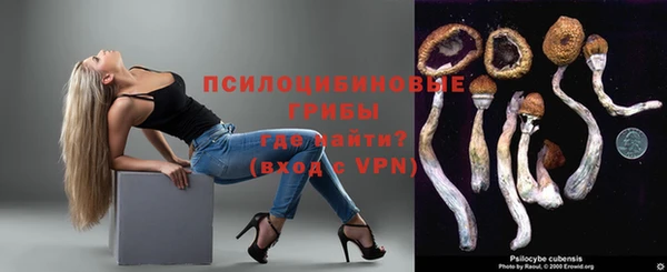 a pvp Няндома