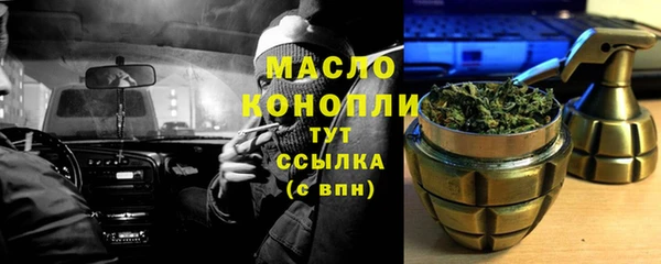 индика Волоколамск